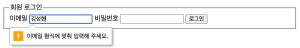 HTML form의 데이터 검증 사진